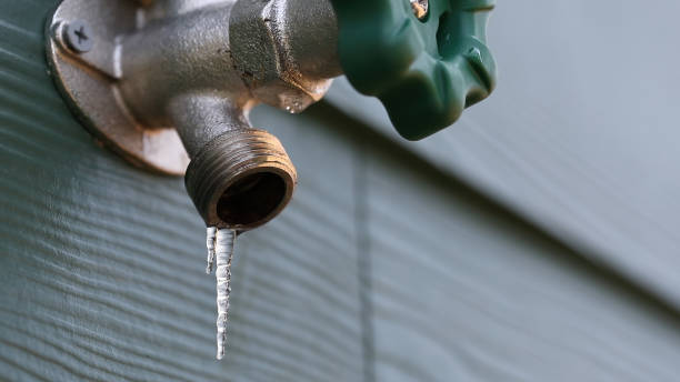 Best Sprinkler Systems  in Elkader, IA